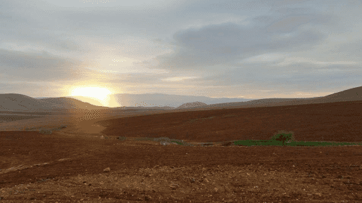 סופ״ש לוהט: גל החום יגיע לשיאו בשבת