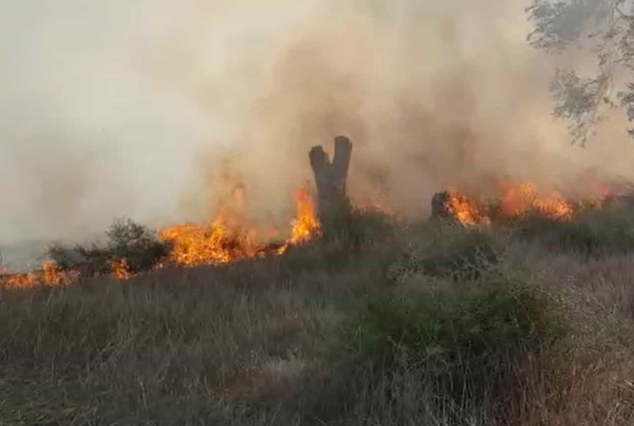 ממשיכים להלחם בלהבות: 5 מוקדי שריפות בדרום