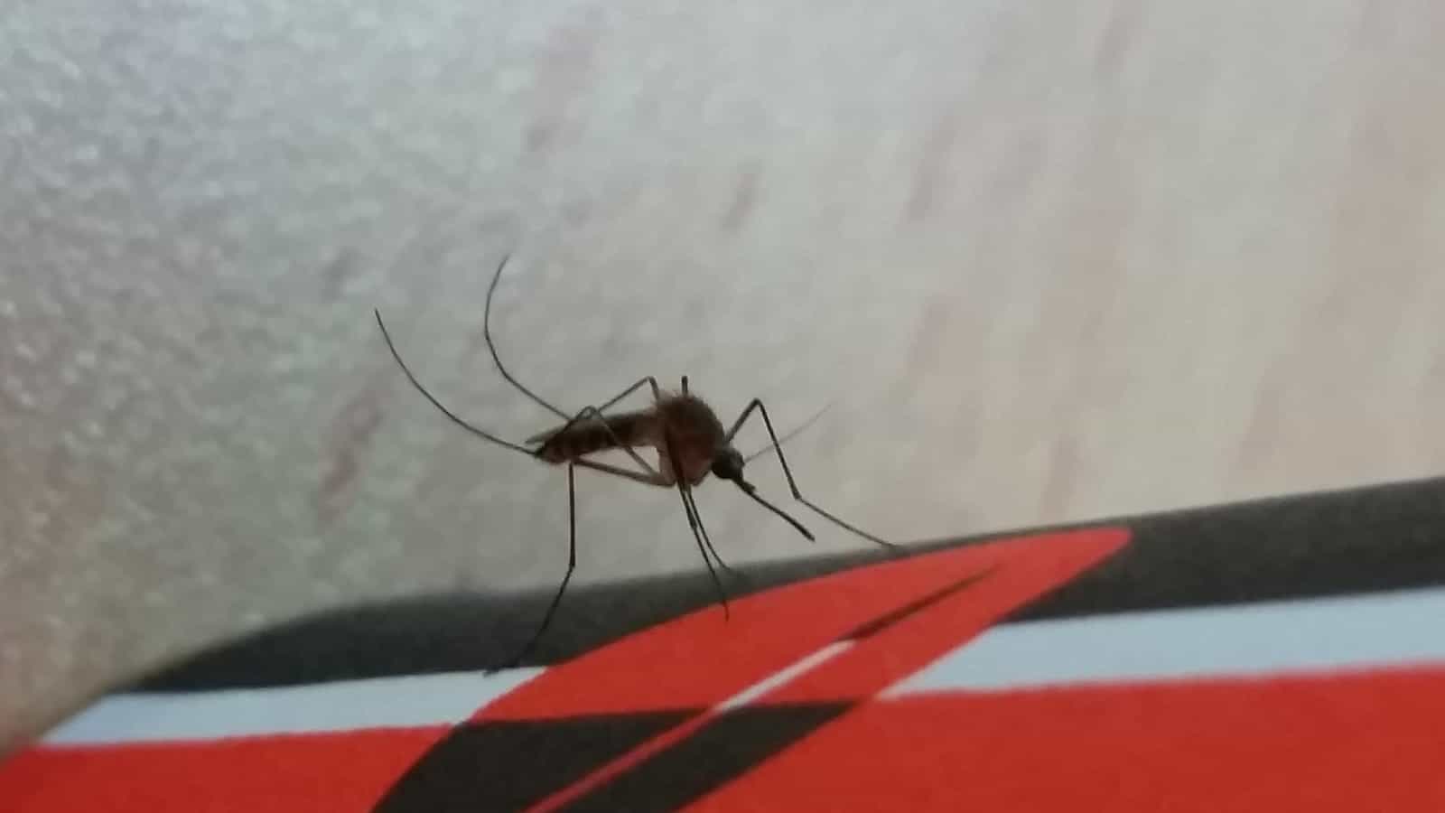 סיוע בשיקום תשתיות וסביבה בטוחה ובריאה לרשויות מקומיות בצפון הארץ ובחבל תקומה