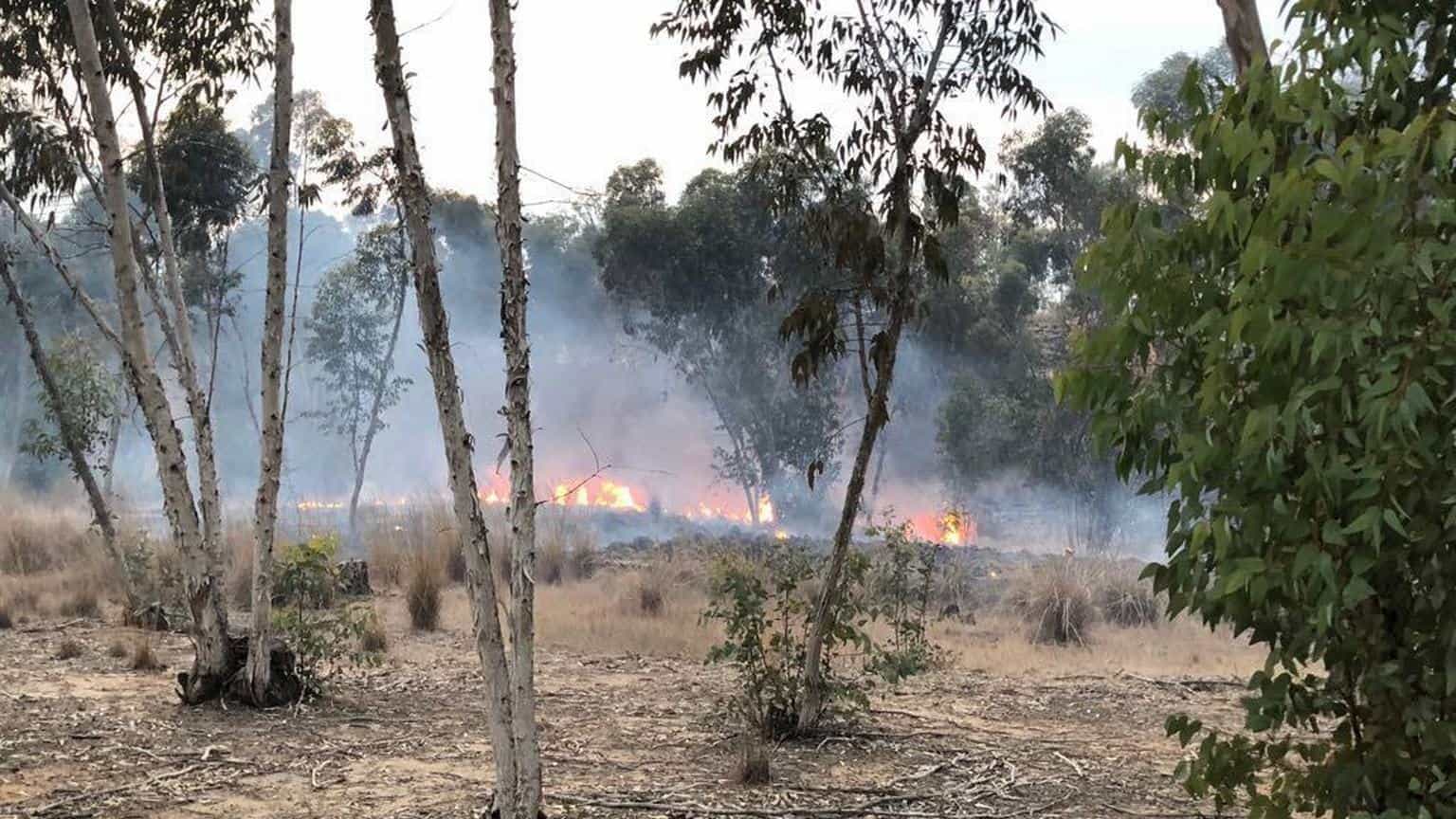 שריפה נוספת פרצה ביער בארי בעקבות בלוני תבערה