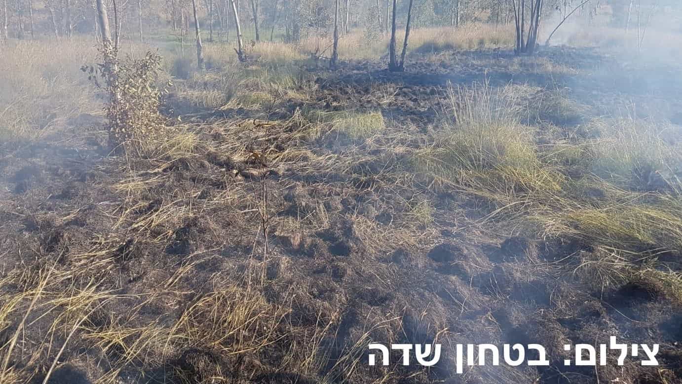בלון תבערה? צפו בשריפה שפרצה ביער בארי