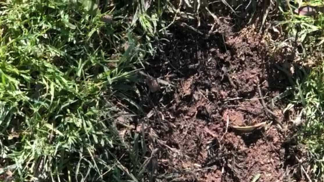 צפו בתיעוד: בלון נפץ נפל והתפוצץ בתוך יישוב בשער הנגב