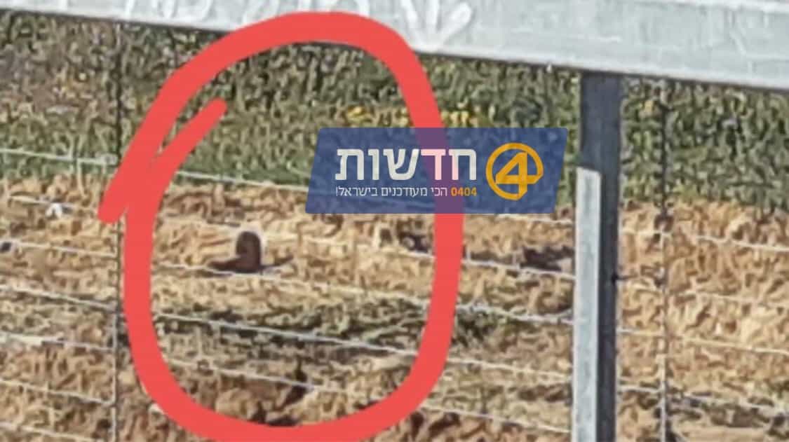 פרסום ראשון: מטען רב עוצמה שבדומים לו השתמשו בעיראק ובלבנון, הונח ע"י מחבלי חמאס בגבול הרצועה