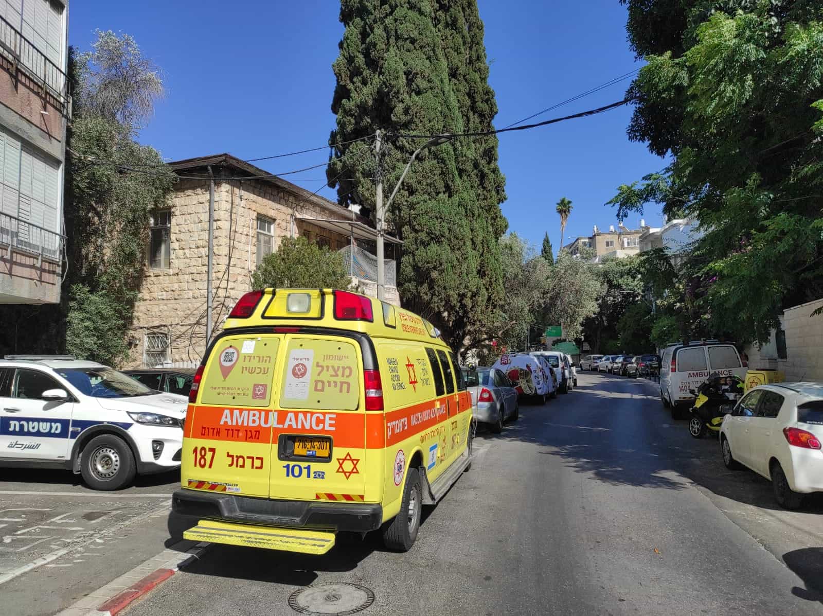 גבר כבן 72 ננשך בצווארו ע"י כלב בקריית ביאליק - מצבו קשה