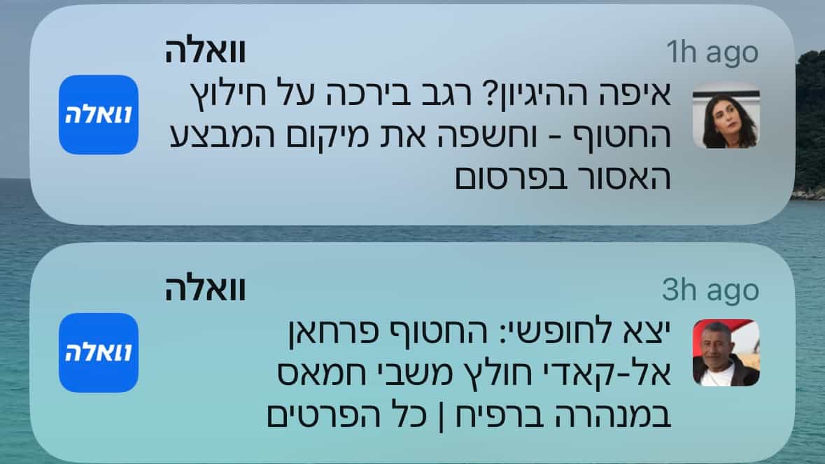 אתר וואלה חשף את מיקום חילוץ החטוף ושעתיים אחרי תקף את רגב | צפו