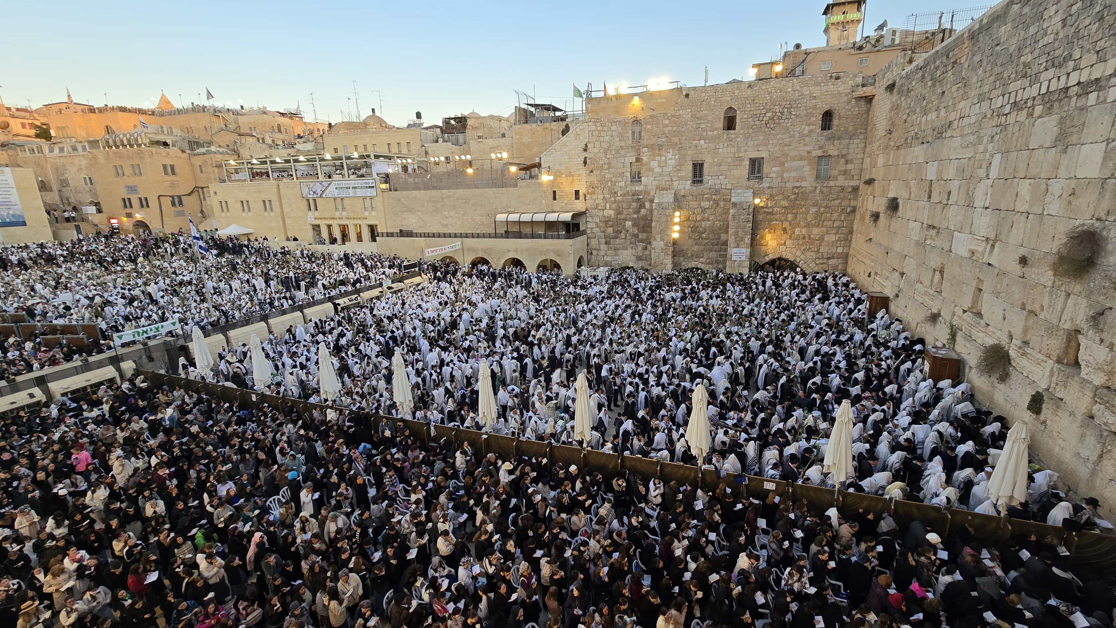 ש"ס, יהדות התורה ועוצמה יהודית: נתמוך בחוק הכותל של ח"כ אבי מעוז