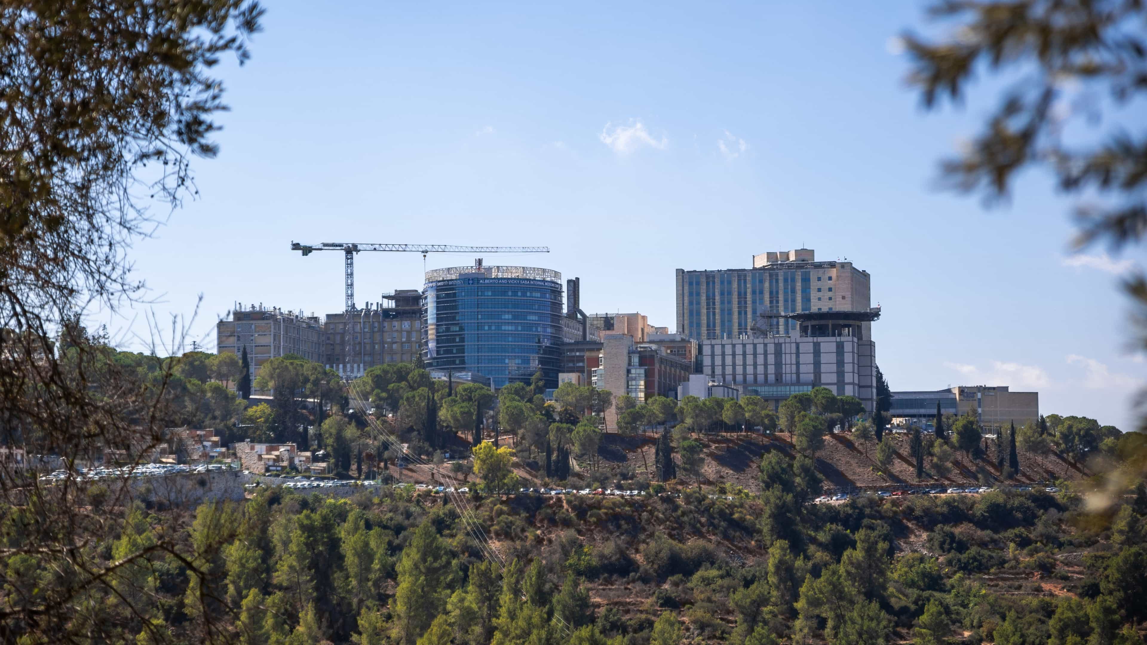 מחקר בהדסה: יותר ממחצית התינוקות שנולדו עם CMV היו מתפספסים בלי סקר לכל היילודים