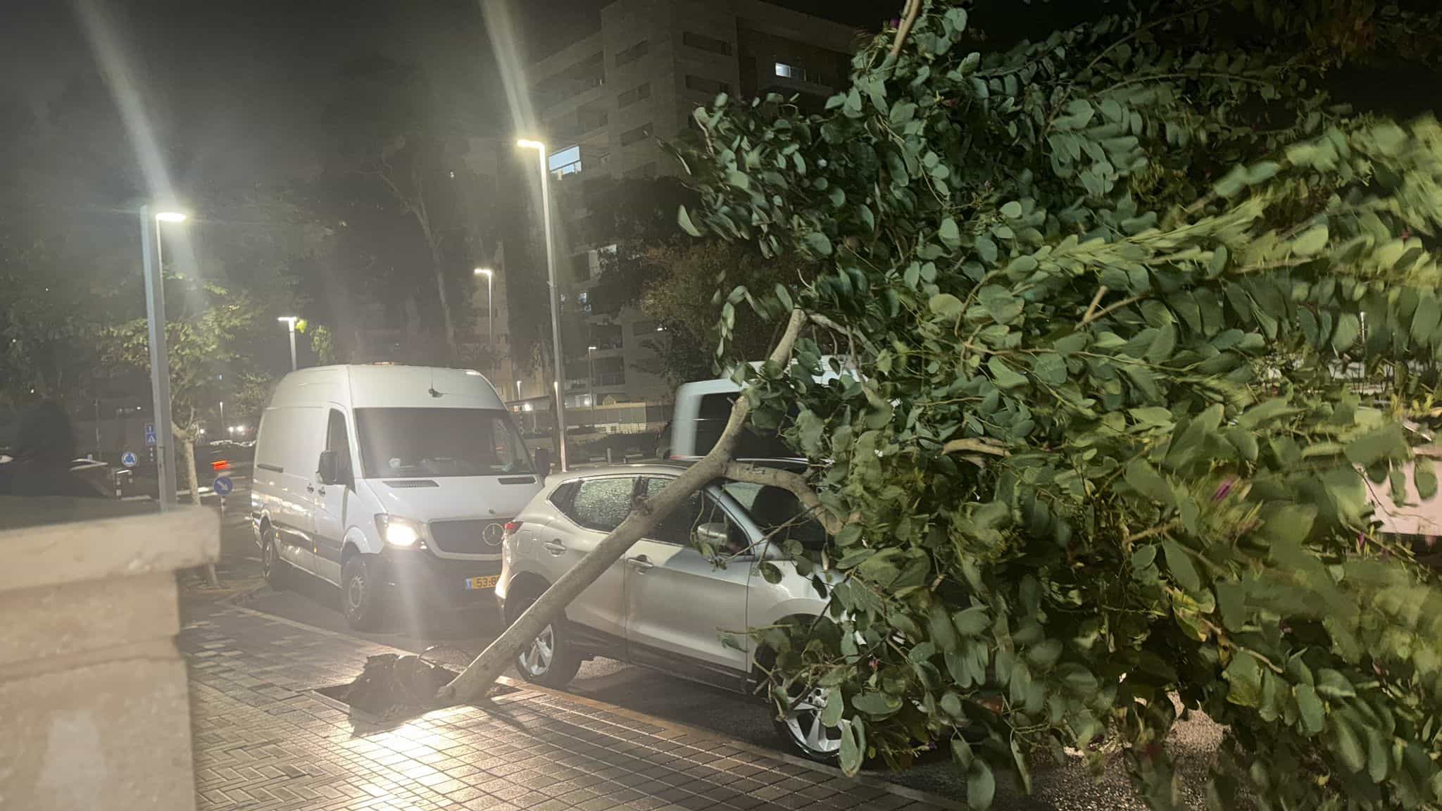 נזקי הסערה בעכו: עץ קרס על רכב ושלט עסק נעקר ממקומו