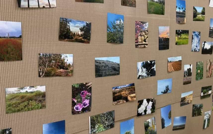 האור בעיניהם: תערוכת הצילום המרגשת של ילדי גן ארבל בחדרה כבשה את הלבבות