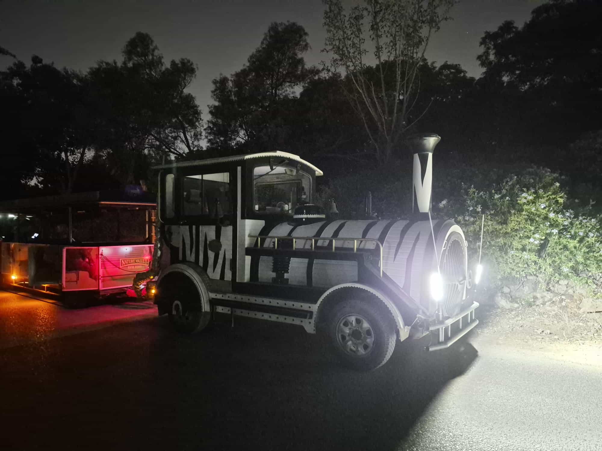 ספארי לילה וקשרים חדשים: קהילת ההורים העצמאיים בקריית אונו מתגבשת