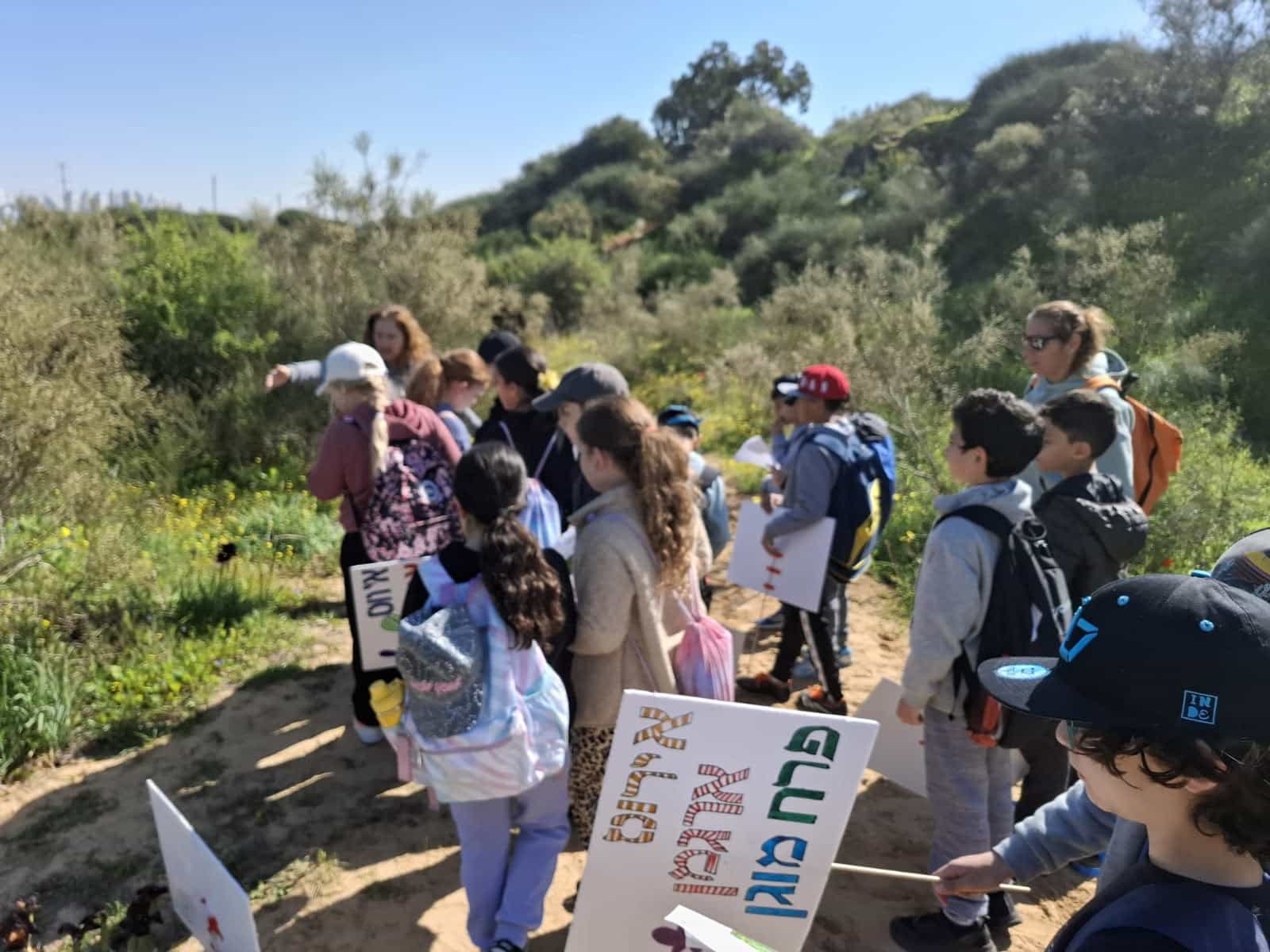 מחזירים את אירוס הארגמן הביתה: עיריית ראשון לציון תשיב את הפקעות שהוצלו לגבעת האירוסים