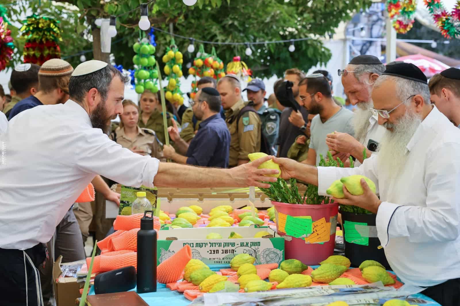 שוק ארבעת המינים המסורתי חוזר לכיכר ולרו: ירושלים נערכת לקראת חג הסוכות