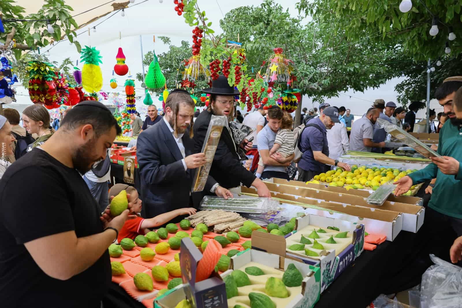 ושמחת בחגך: הבוקר נפתח שוק ארבעת המינים המסורתי בכיכר ולרו בירושלים | צפו