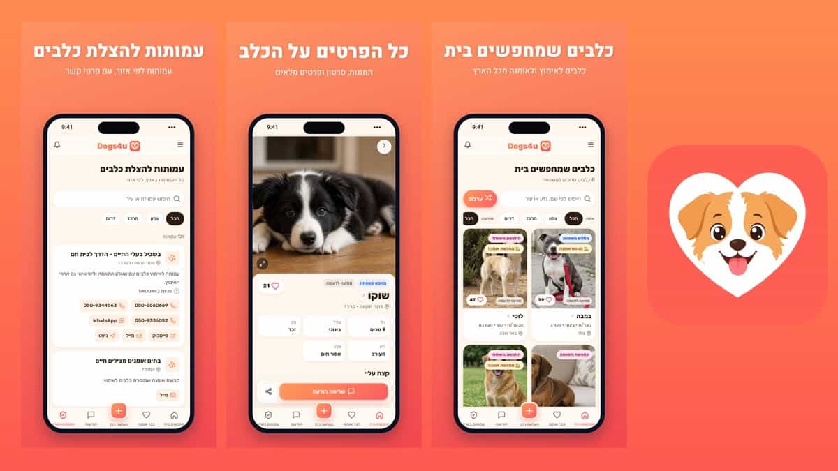 לראשונה בישראל: אפליקציה לאימוץ כלבים ולדיווח על מציאה או איבוד