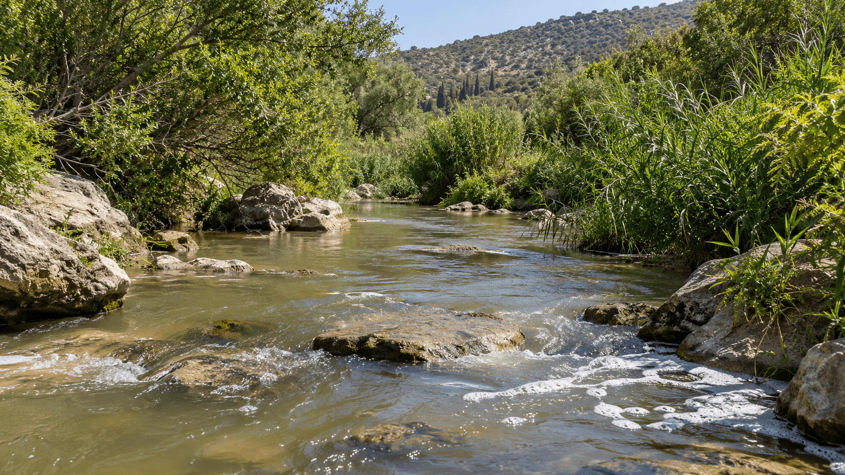 אזהרה למטיילים: זיהום התגלה בנחלי הצפון - הכניסה למים עלולה להיות מסוכנת