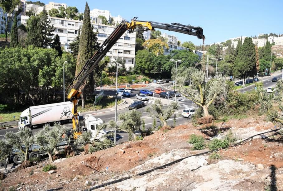 דוברות עיריית חיפה