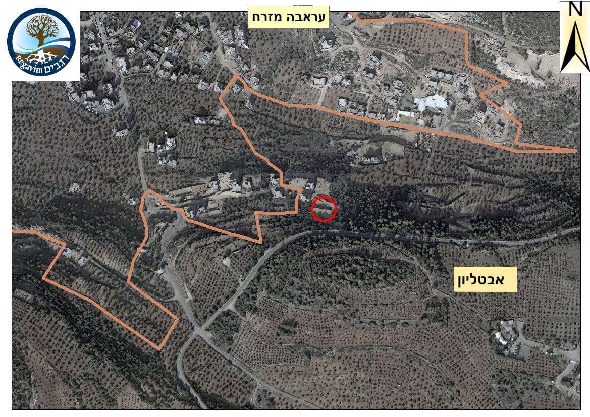 תנועת רגבים