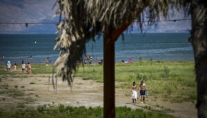 לאחר תקיפת הנופשים בכינרת: תנים נצפו שוב סמוך לחופים, אחד מהם נלכד