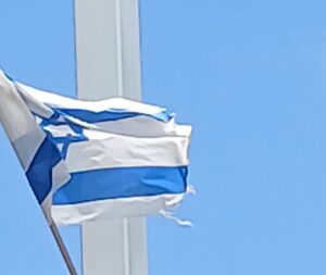 פרוטוקול הדגלים נחשף: העימות המשפטי בין בועז חיון לעיריית הרצליה עולה שלב